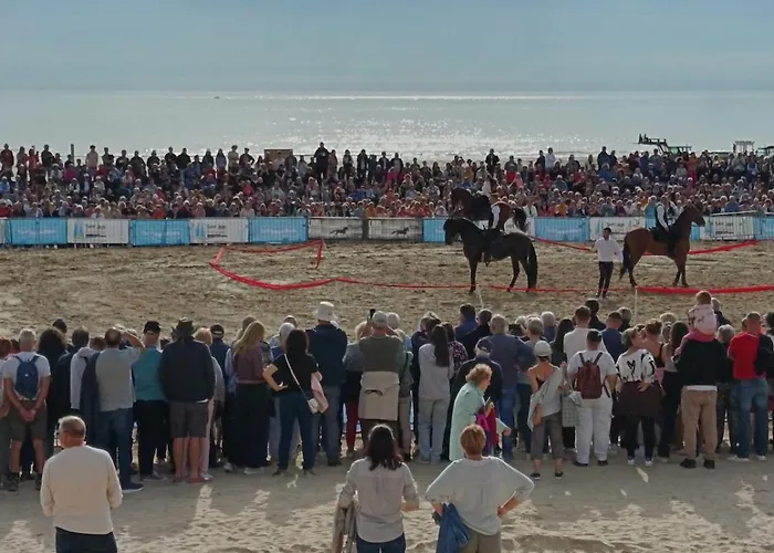 De Charme En Plein Centre-ville, Proche Du Marche * Saint-Jean-de-Monts