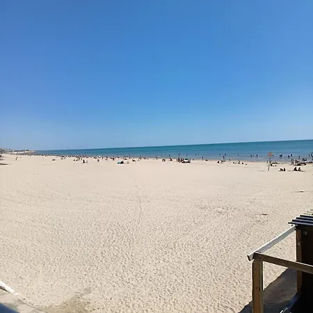 דירה De Charme En Plein Centre-ville, Proche Du Marche *