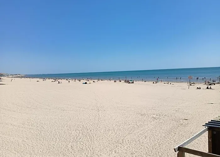 דירה De Charme En Plein Centre-ville, Proche Du Marche *