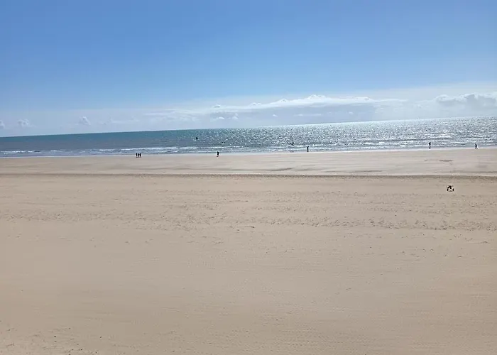 De Charme En Plein Centre-ville, Proche Du Marche * סן ז'אן דה מון