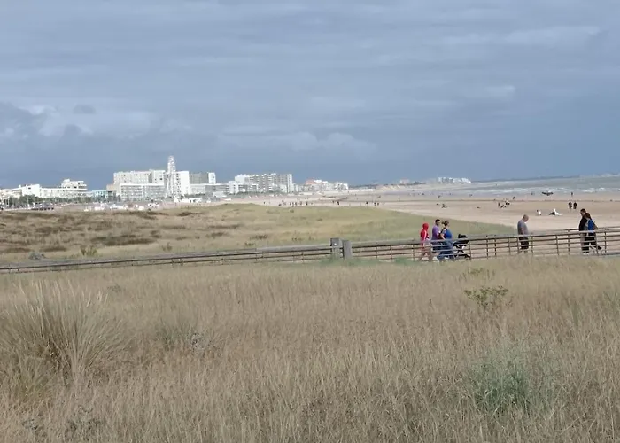 דירה De Charme En Plein Centre-ville, Proche Du Marche